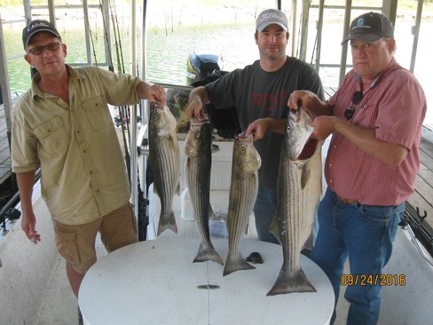 Nice Striped Bass